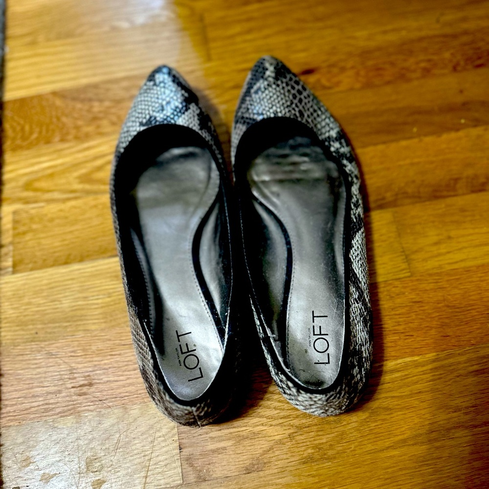 Woman’s dress shoes, size 9m